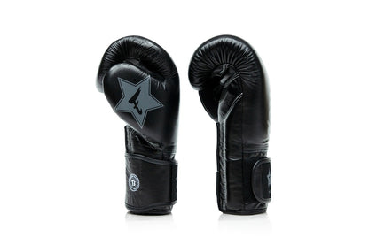 Fairtex X Booster Boxhandschuhe FXB BG V2 BLACK