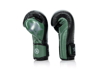 Fairtex X Booster Boxhandschuhe FXB BG V2 BK/GR/GY
